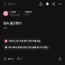 31기 영숙 최신 근황 이미지
