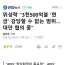 위성락 "3천500억불 '현금' 감당할 수 없는 범위…대안 협의 중" 이미지
