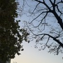 성진웰빙타운 이미지