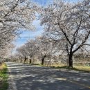 에스의료기 | 비염 스프레이 사용법과 알레르기 비염약 추천, 코에픽 노즈베리어 99.7