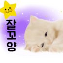 삼정세탁소 이미지