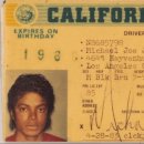 마이클 운전 면허증사진 이미지