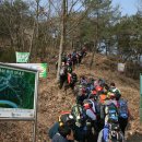 입실약국 이미지