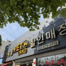 다있어알뜰매장 | 부천 강아지유모차 매장 펫랜드에서 피카고 유모차 시승 후기