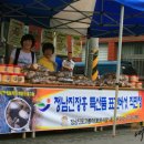 정남진 표고돌이