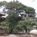 오봉종택 이미지