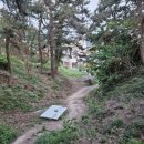 장자도바위섬민박 이미지