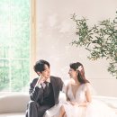 바이그리너리