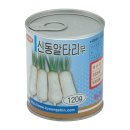 신동-120 이미지