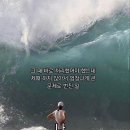 금빛태권도 | 서울워홀 : 직장인도비의 시간은 바르게 간다🫠 (3월 1주)