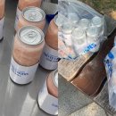 커피사피엔스종로르메이에르점