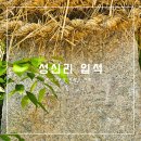 상신리 입석 이미지