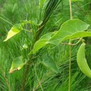 용수 농장 이미지