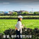 제주와봄 - 제주시 벌랑6길 18-1 | 제주와봄