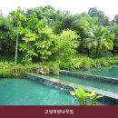 설악 풀빌라 고성하얀나무집 시설 깔끔 한 곳의 이용 비용 안내