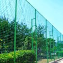 가고파초등학교 이미지