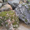 양지-3558 이미지