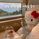 보건소 | 임신 산전검사 e보건소 지원 후기 / 지원금 신청방법