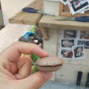 마카롱과의 달콤한 데이트 이미지