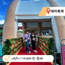 모녀청과 | 내년도 기다려지는 페스티벌, 문경 오미자 축제 다녀온 후기