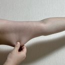 엠디아이LLP053 크림 셀룰라이트케어 펩타이드 LLP053 함유크림으로 데일리군살케어