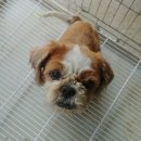 단월식당 이미지