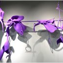 숙명여자대학교 이미지