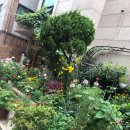 갑을아파트경로당 이미지