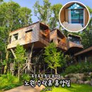 자미트리 힐링센터 | 노원 힐링 트리하우스 휴양림 : 수락휴 그랜드트윈 본동 2인실 나비의 꿈 숙소 컨디션과 불멍 조식까지...