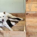 똑순이네 이미지