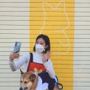 오간식 영등포점 이미지