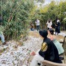달빛오후