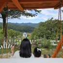 초원축산 | 강원도 춘천 가볼 만한 곳 해피초원목장 당일치기 여행!