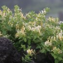 (주)인동 이미지