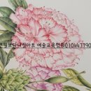 보타니컬아트예술문화교육협회 이미지