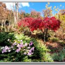 화가의정원 이미지