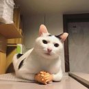 규재축사 | 2023 동아시아 협력 포럼에 다녀옴