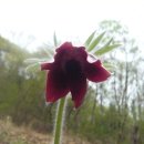 음암초등학교 이미지