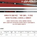 베이플렉스