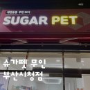 슈가펫무인24시 - 부산진구 신천대로62번길 60 | 슈가펫무인24시