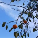 용미농장 이미지