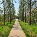 수인선 바람길 숲 이미지