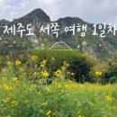 제주무릉도원집 네이버블로그