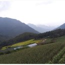 수양민박 이미지