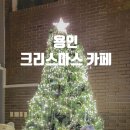 동천 이동식 화장실 | 용인 크리스마스 카페 더노멤버라운지 수지동천점 24시카페 대형카페 카공카페