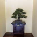 새이천약국 이미지