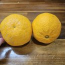 창주농장 이미지