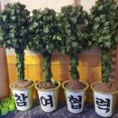 주식회사 매직영상