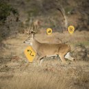 HIT GAME LAND 이미지