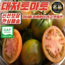 토마토 - 부평구 주부토로22번길 10-1 | 토마토